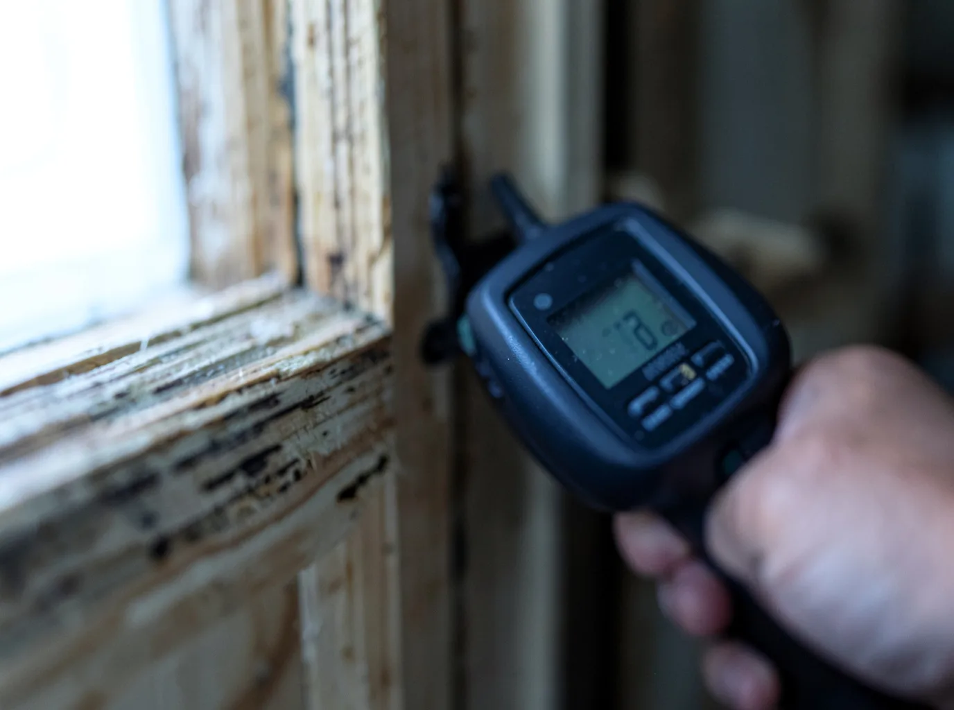 Moisture Inspection And Documentation in Lynchburg, TN